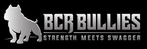 BCR Bullies